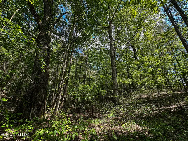 $325,000 | 2270 State Line Road, Tremont, MS 38876