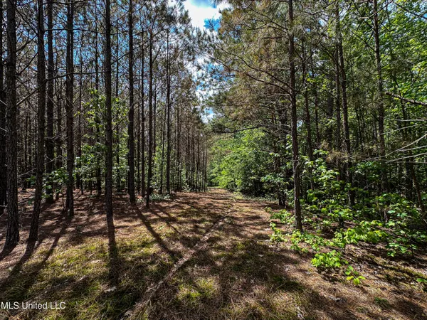 $325,000 | 2270 State Line Road, Tremont, MS 38876