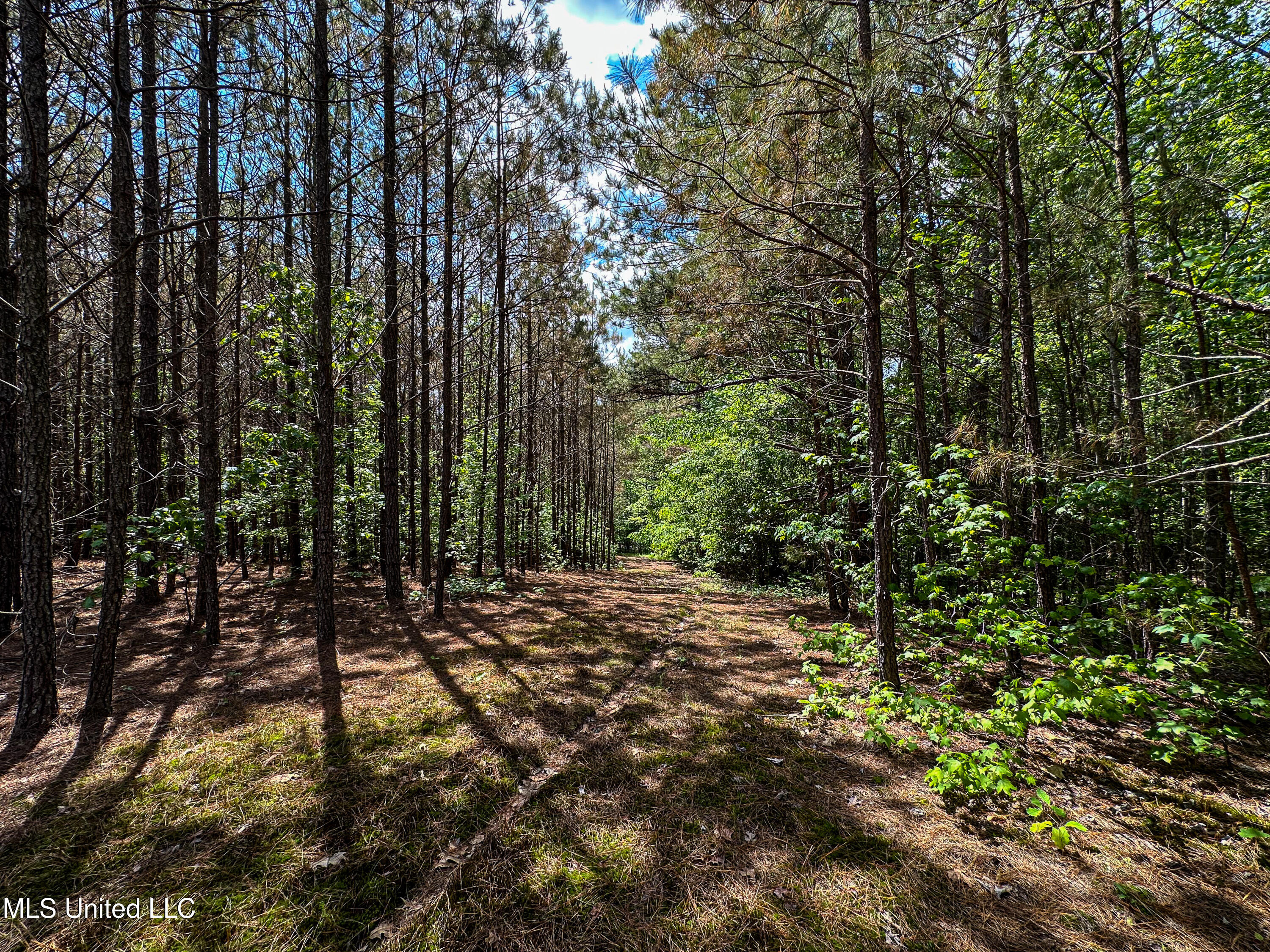 2270 State Line Road Tremont, MS 38876 - Photo 58 of 117 IMG_3784