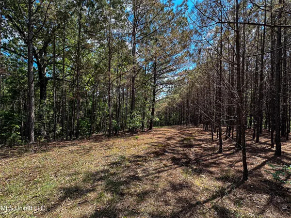 $325,000 | 2270 State Line Road, Tremont, MS 38876