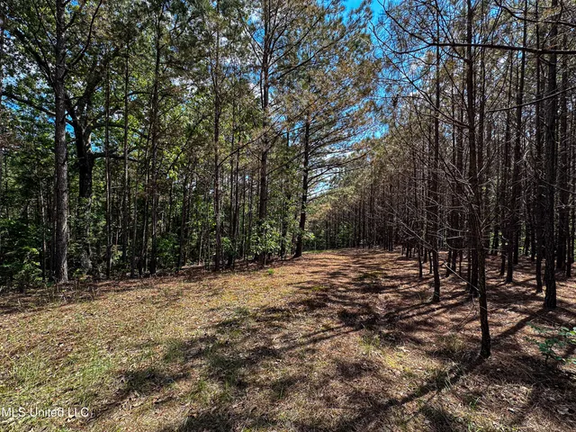 $325,000 | 2270 State Line Road, Tremont, MS 38876