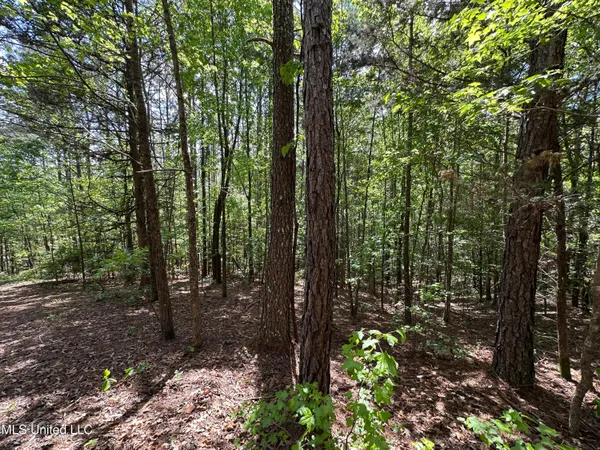 $325,000 | 2270 State Line Road, Tremont, MS 38876