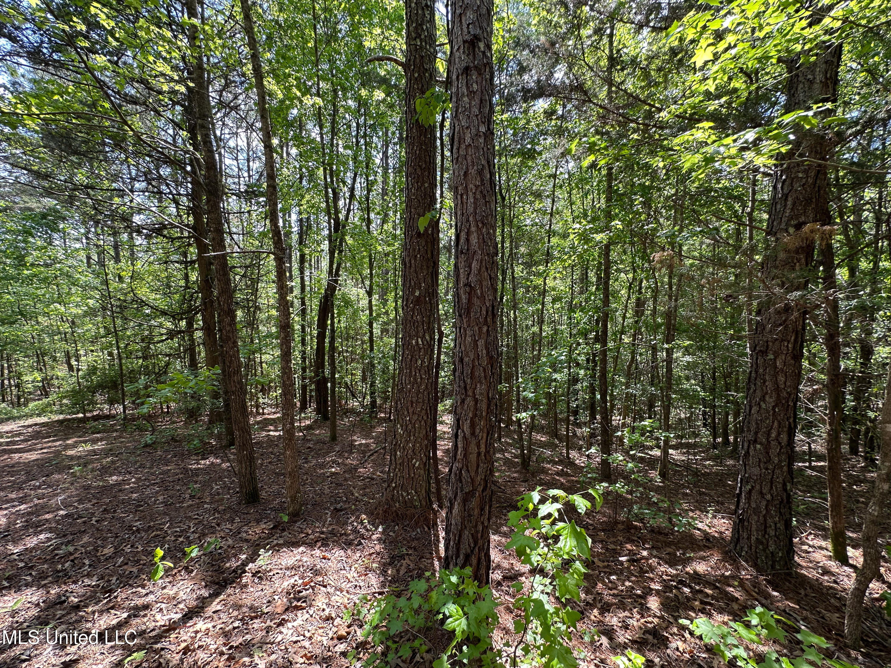 2270 State Line Road Tremont, MS 38876 - Photo 60 of 117 IMG_3786