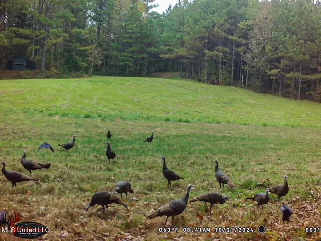 $325,000 | 2270 State Line Road, Tremont, MS 38876