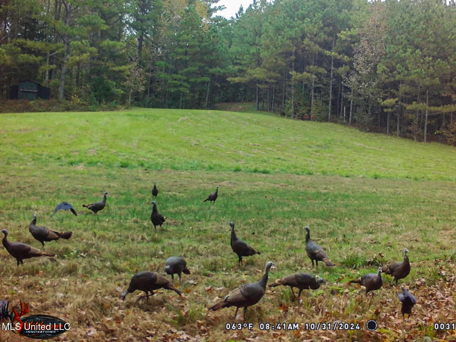 2270 State Line Road Tremont, MS 38876 - Photo 6 of 117 2-2