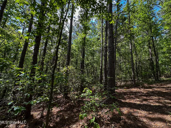 $325,000 | 2270 State Line Road, Tremont, MS 38876