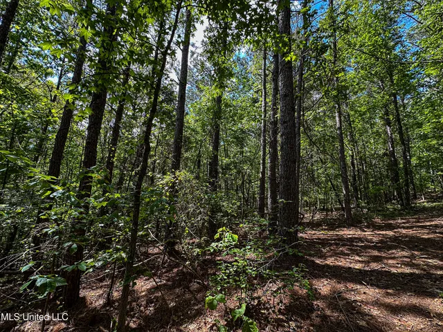 $325,000 | 2270 State Line Road, Tremont, MS 38876