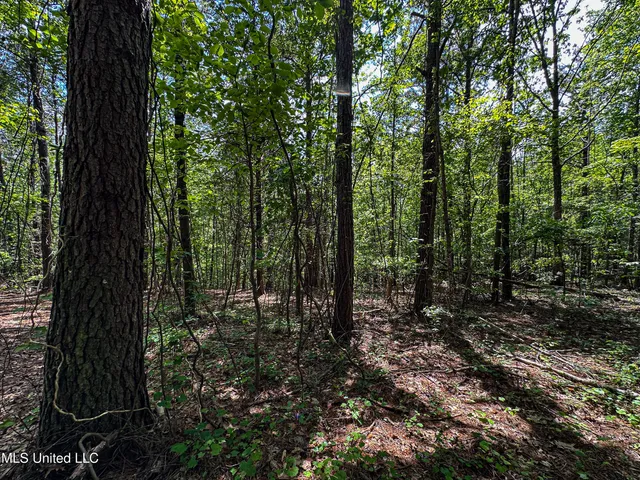 $325,000 | 2270 State Line Road, Tremont, MS 38876