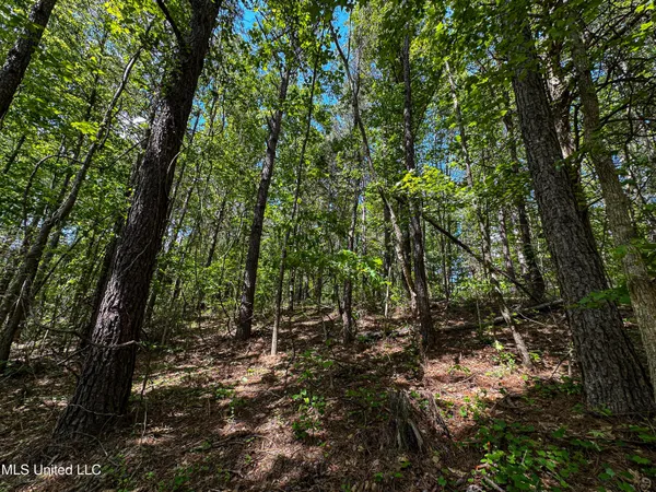 $325,000 | 2270 State Line Road, Tremont, MS 38876