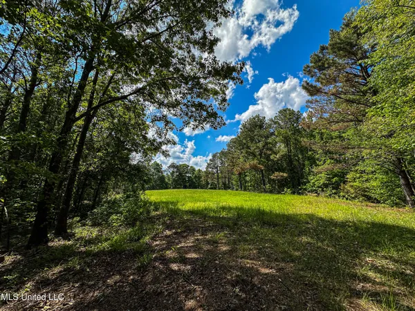 $325,000 | 2270 State Line Road, Tremont, MS 38876