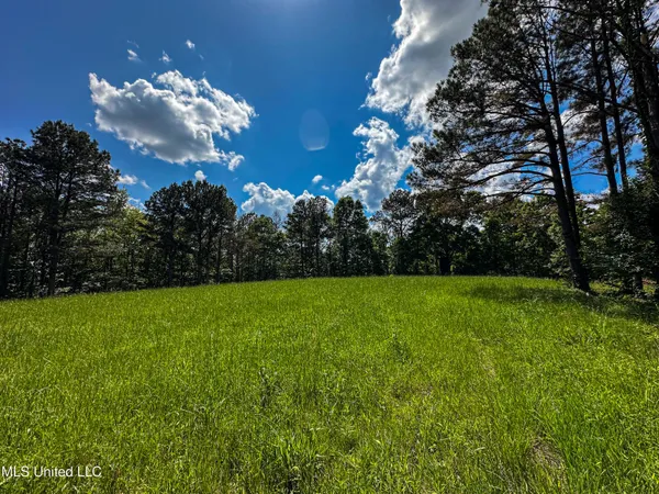 $325,000 | 2270 State Line Road, Tremont, MS 38876