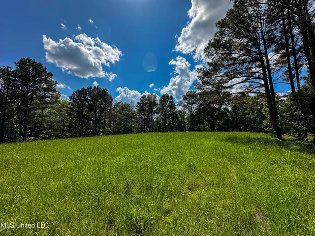 $325,000 | 2270 State Line Road, Tremont, MS 38876