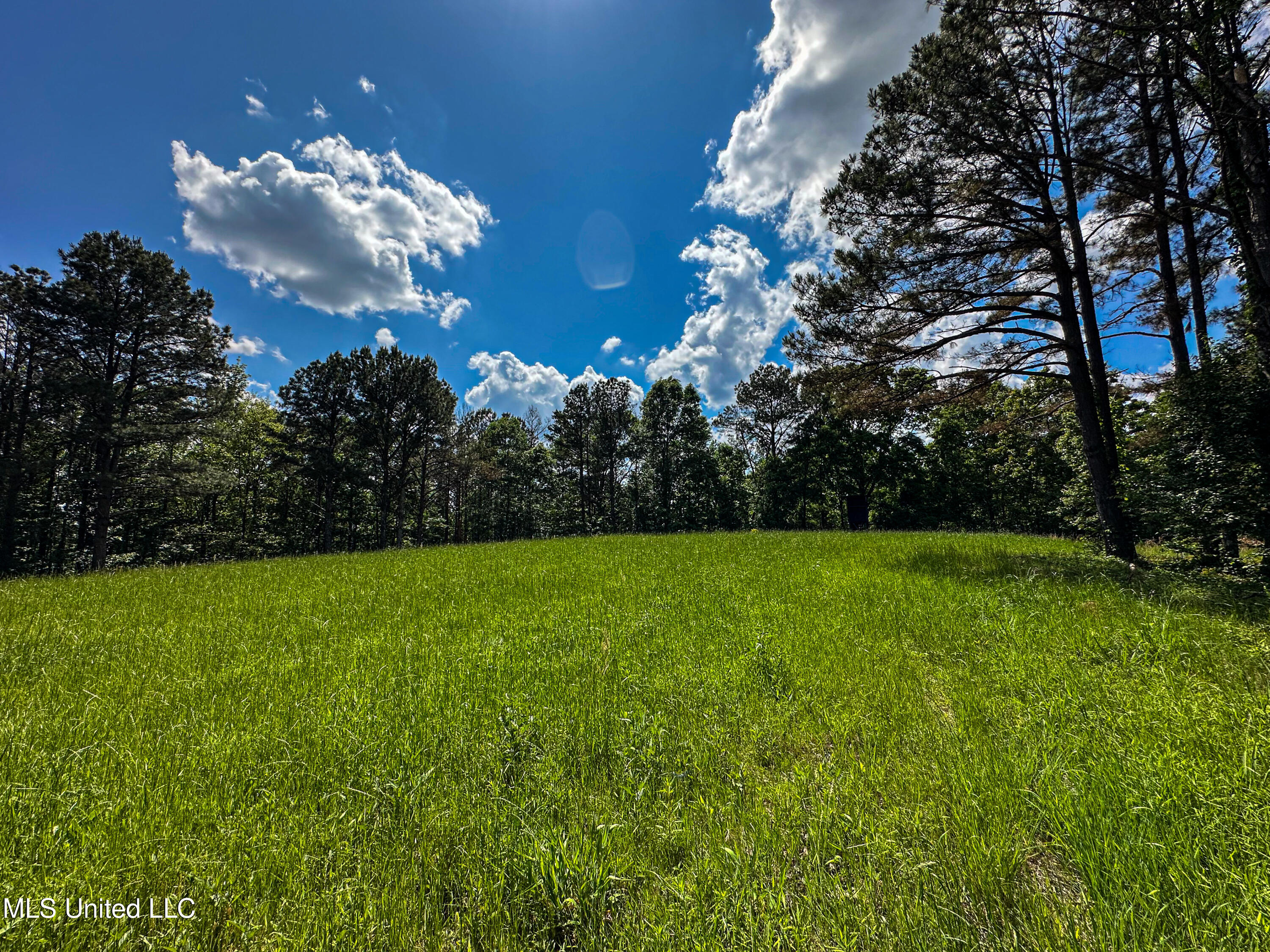 2270 State Line Road Tremont, MS 38876 - Photo 65 of 117 IMG_3791