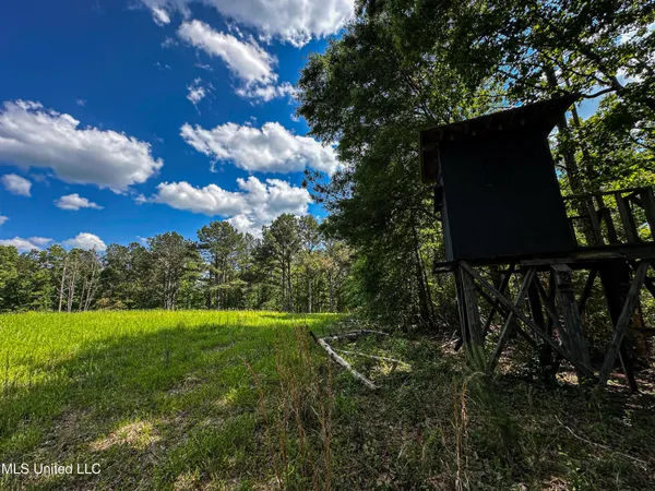 $325,000 | 2270 State Line Road, Tremont, MS 38876