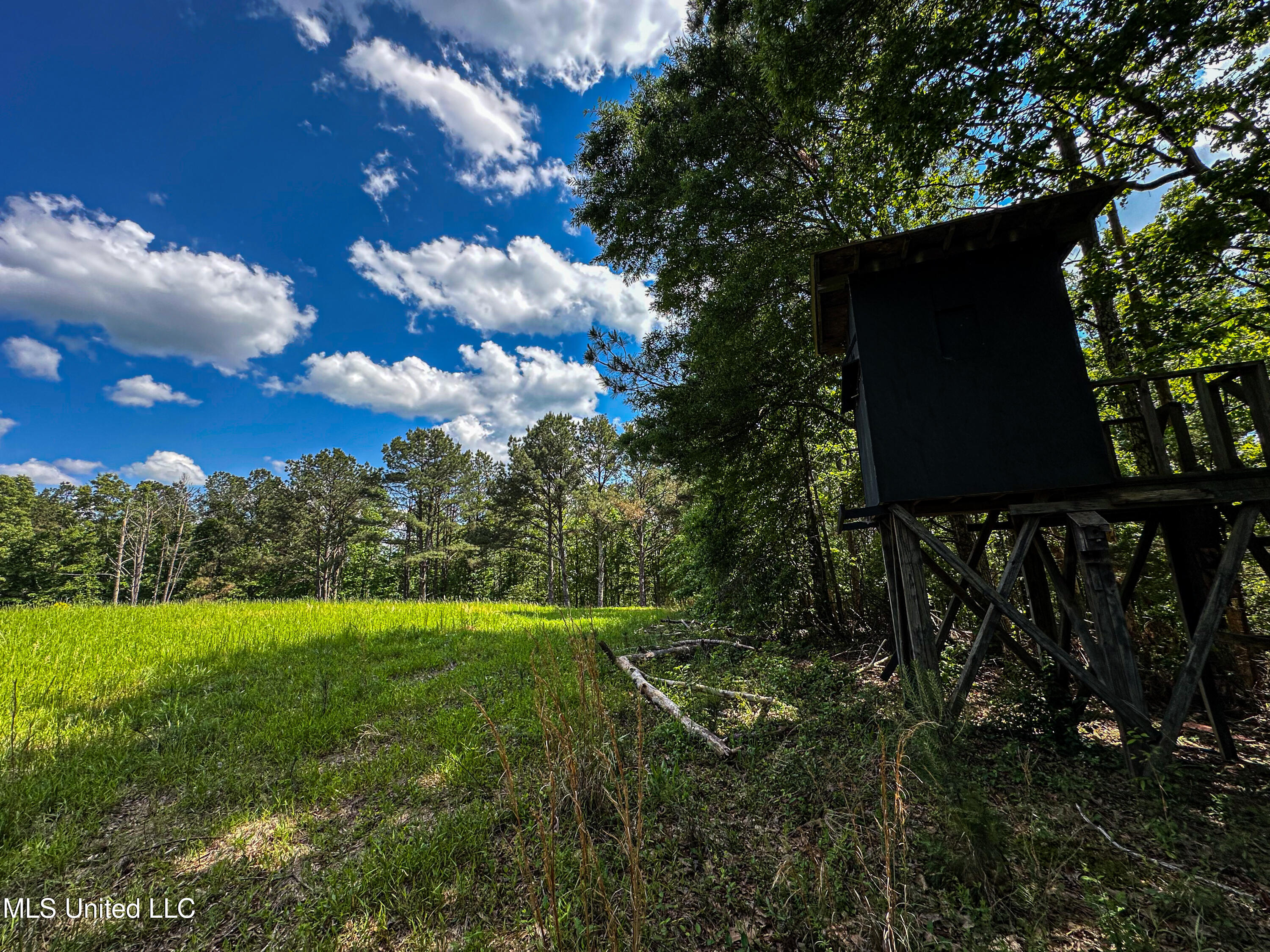 2270 State Line Road Tremont, MS 38876 - Photo 66 of 117 IMG_3792
