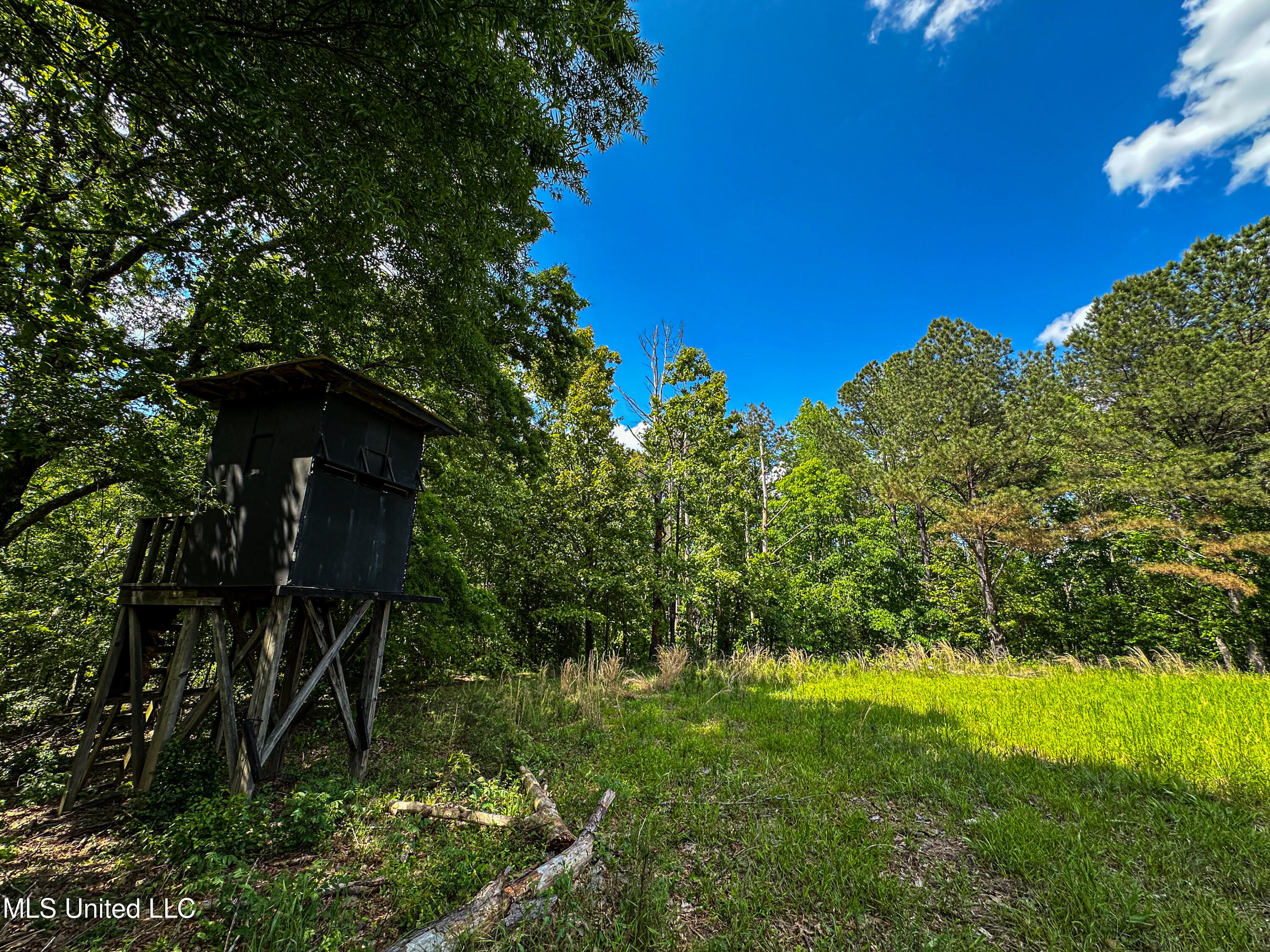 2270 State Line Road Tremont, MS 38876 - Photo 68 of 117 IMG_3794