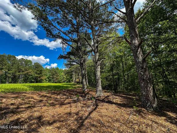 $325,000 | 2270 State Line Road, Tremont, MS 38876