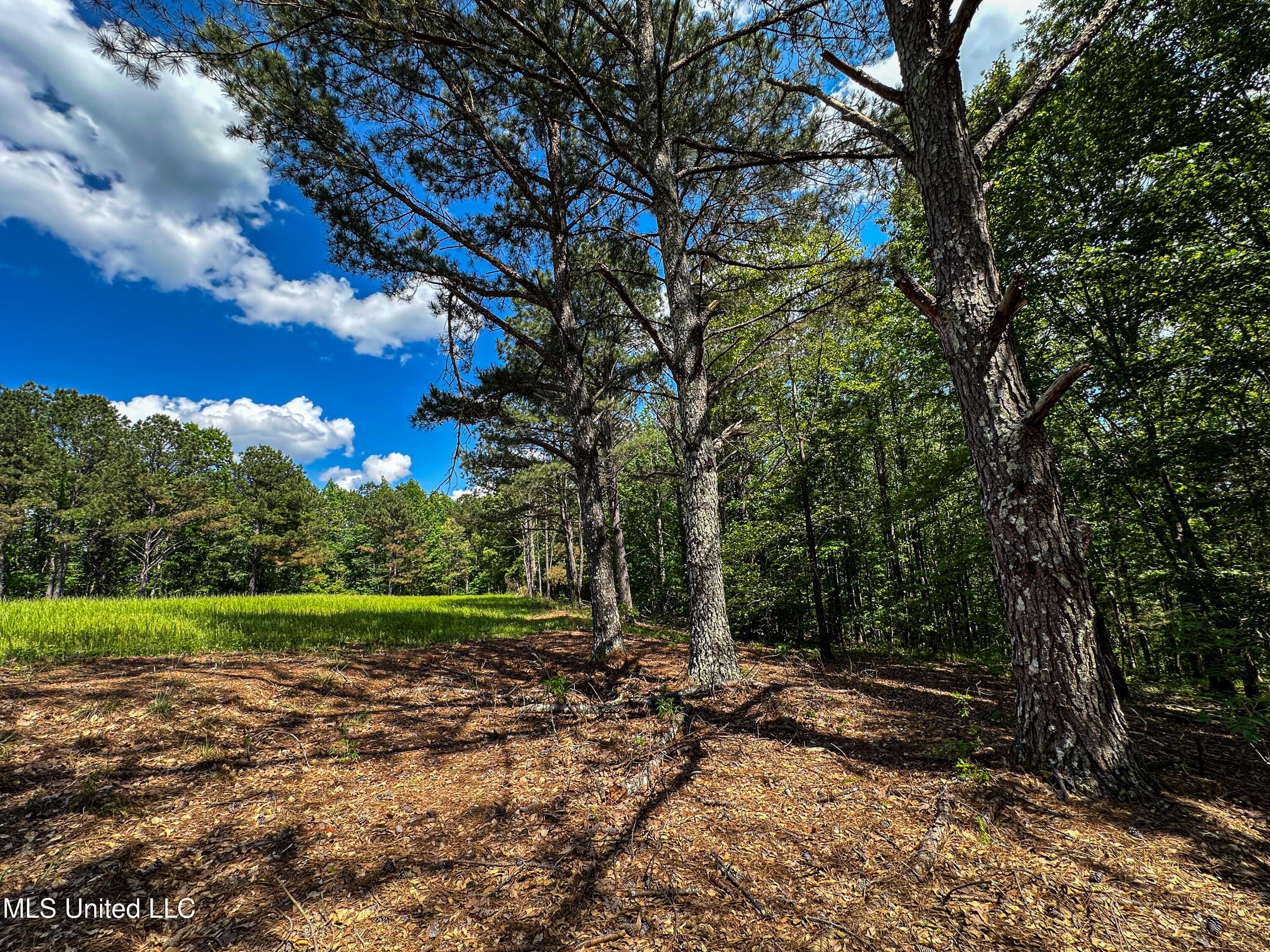 2270 State Line Road Tremont, MS 38876 - Photo 69 of 117 IMG_3795
