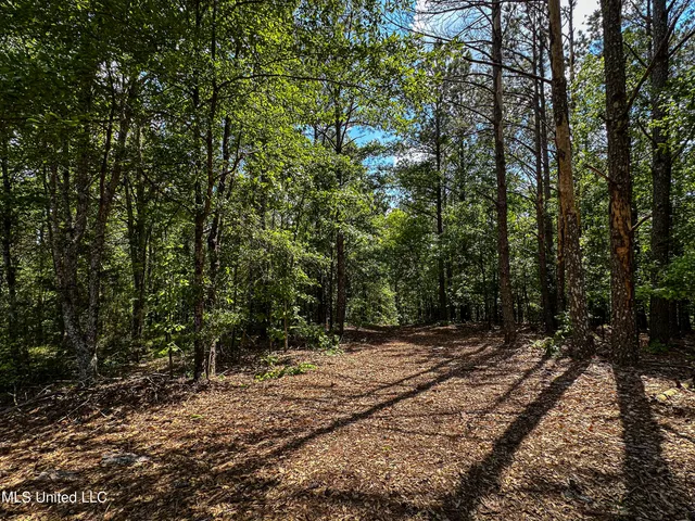 $325,000 | 2270 State Line Road, Tremont, MS 38876