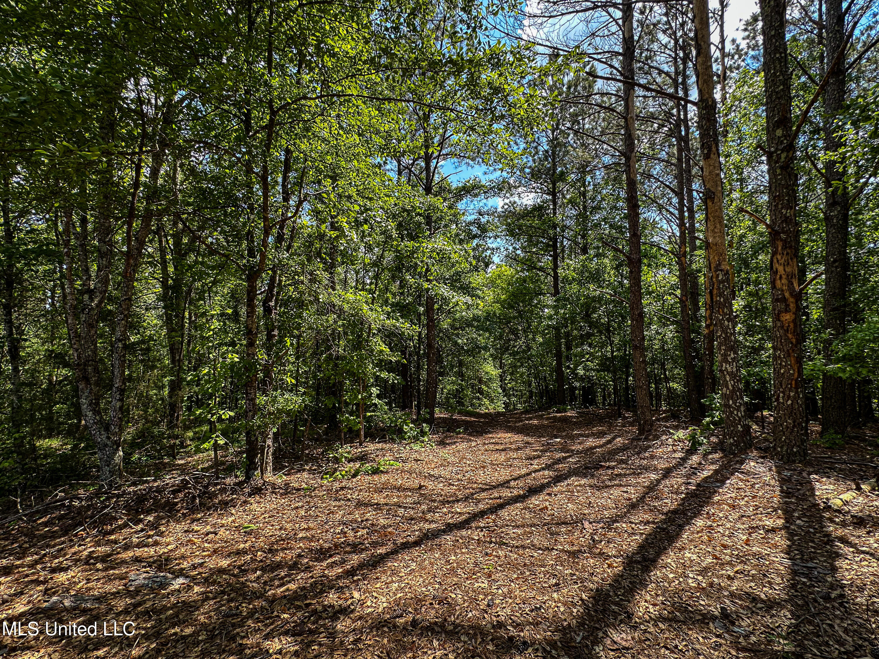 2270 State Line Road Tremont, MS 38876 - Photo 70 of 117 IMG_3796