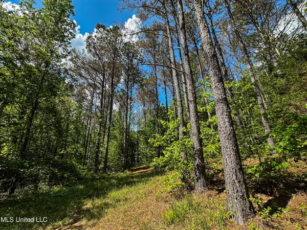 $325,000 | 2270 State Line Road, Tremont, MS 38876