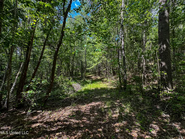 $325,000 | 2270 State Line Road, Tremont, MS 38876