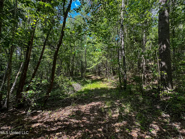 $325,000 | 2270 State Line Road, Tremont, MS 38876