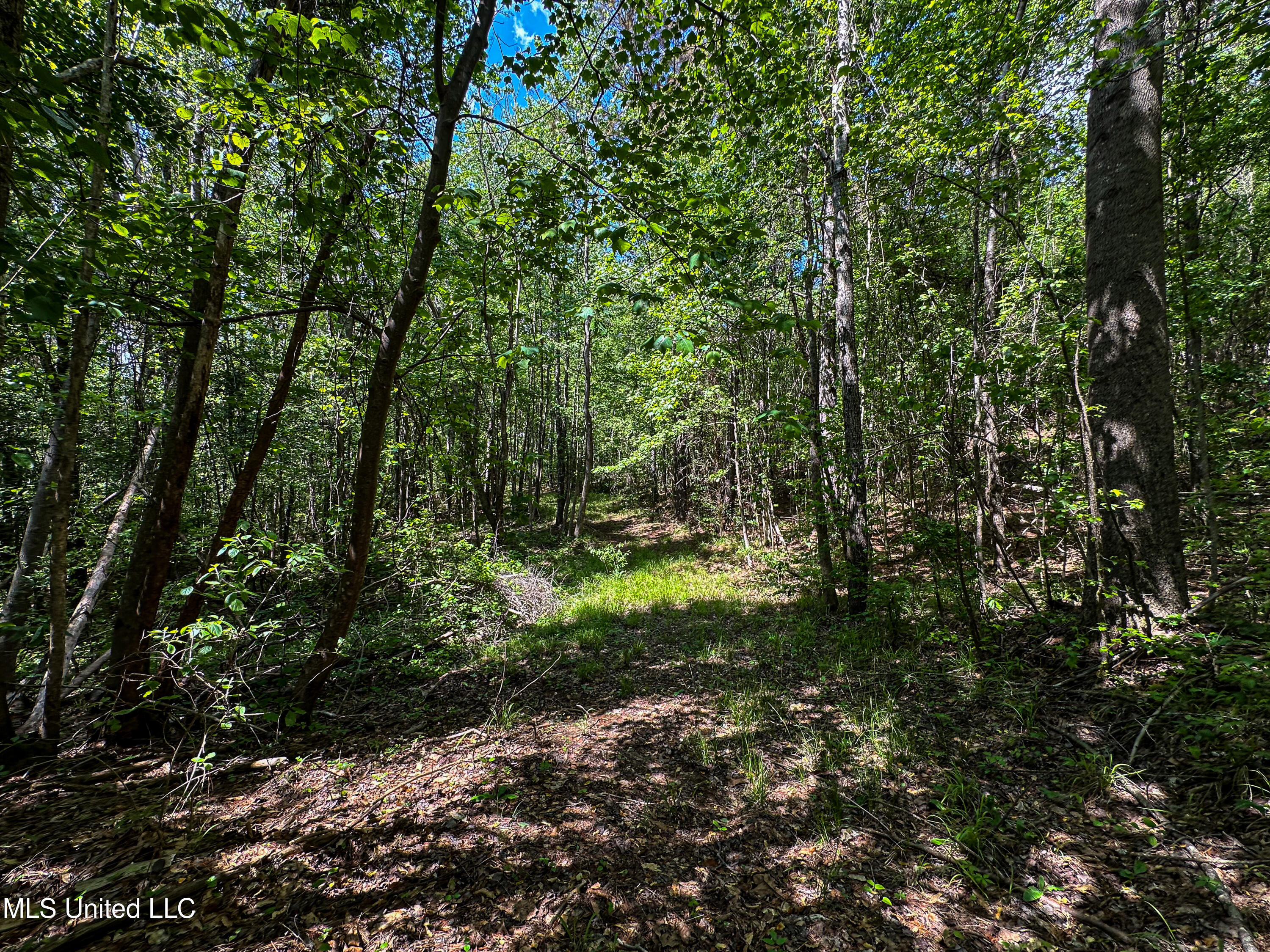 2270 State Line Road Tremont, MS 38876 - Photo 72 of 117 IMG_3798