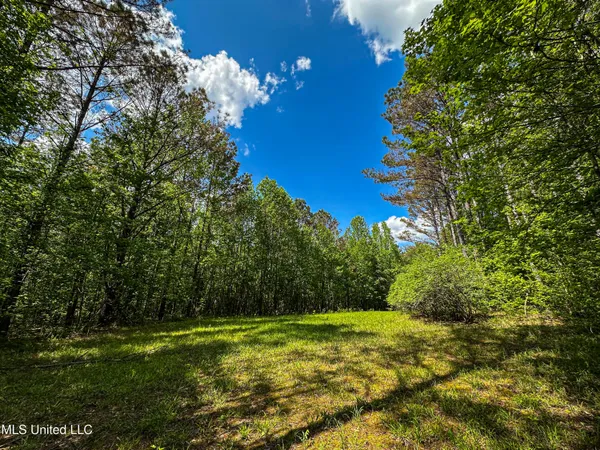 $325,000 | 2270 State Line Road, Tremont, MS 38876