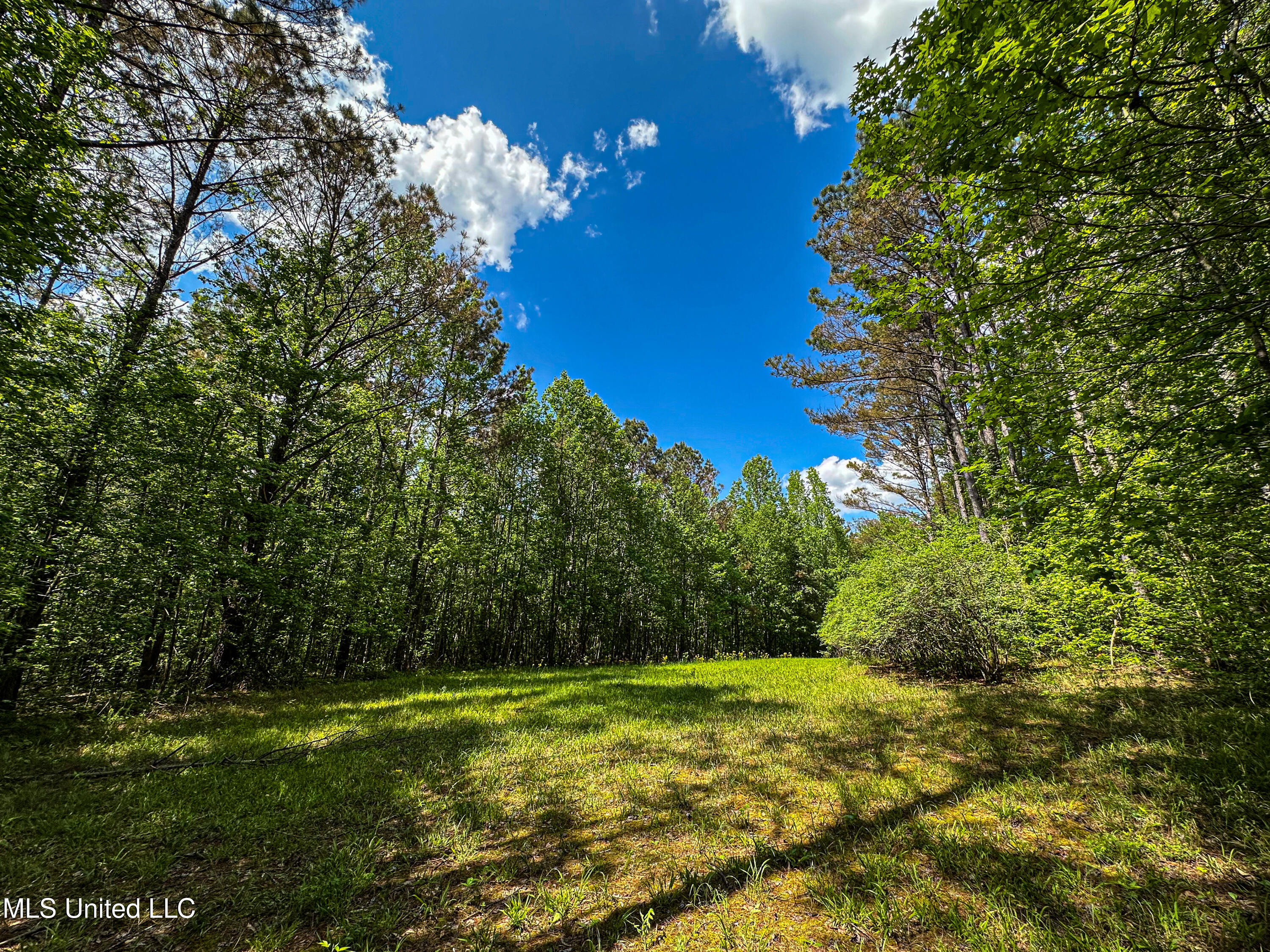 2270 State Line Road Tremont, MS 38876 - Photo 73 of 117 IMG_3799