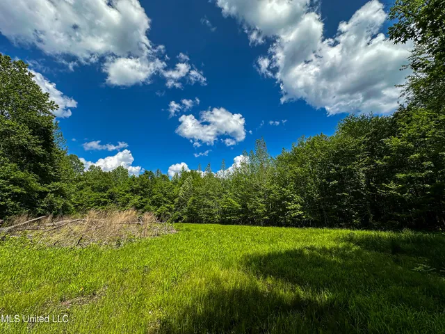 $325,000 | 2270 State Line Road, Tremont, MS 38876