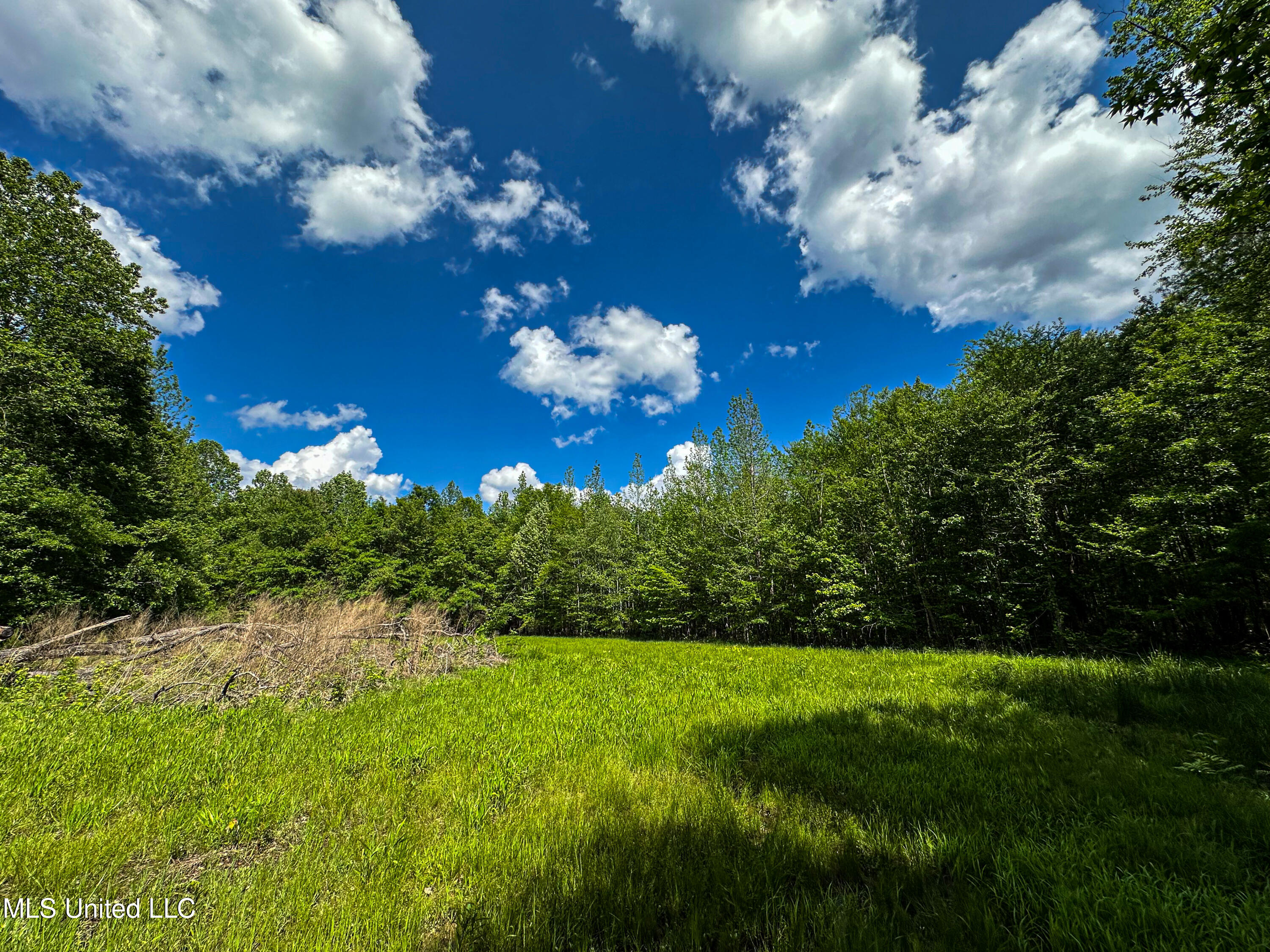 2270 State Line Road Tremont, MS 38876 - Photo 78 of 117 IMG_3805
