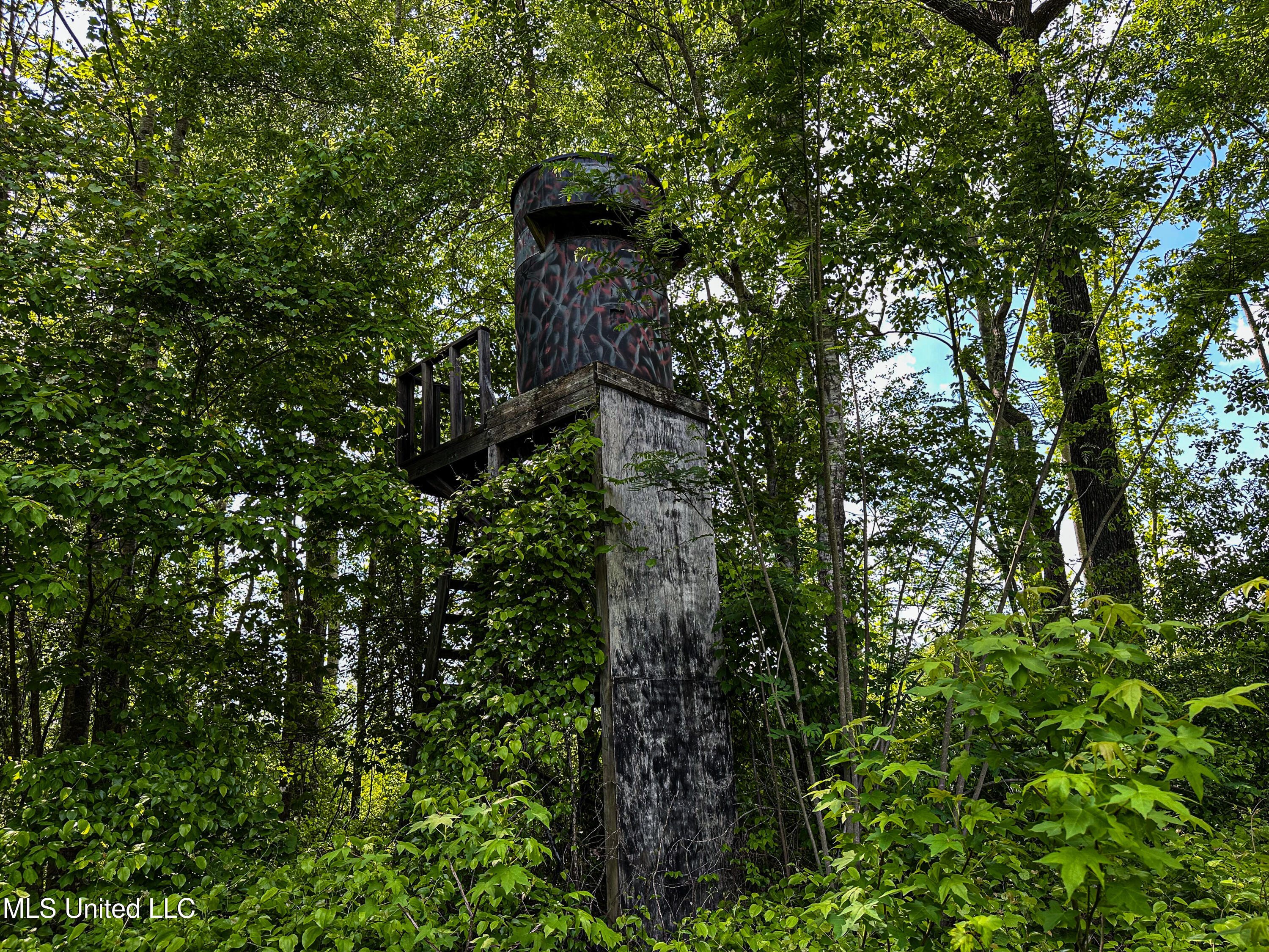 2270 State Line Road Tremont, MS 38876 - Photo 79 of 117 IMG_3806