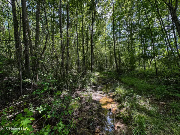 $325,000 | 2270 State Line Road, Tremont, MS 38876