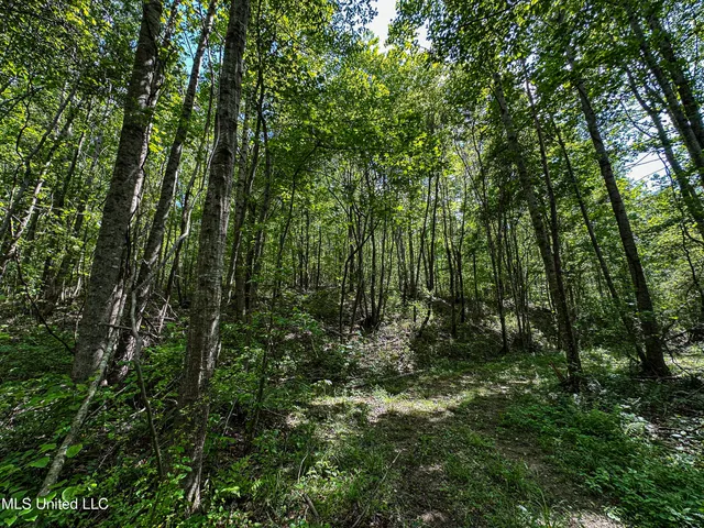 $325,000 | 2270 State Line Road, Tremont, MS 38876