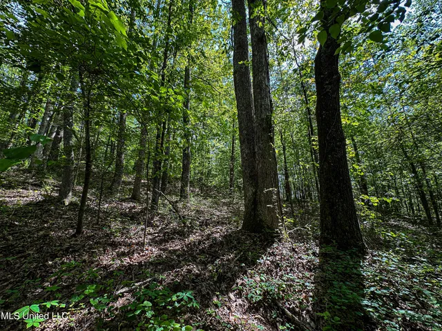 $325,000 | 2270 State Line Road, Tremont, MS 38876