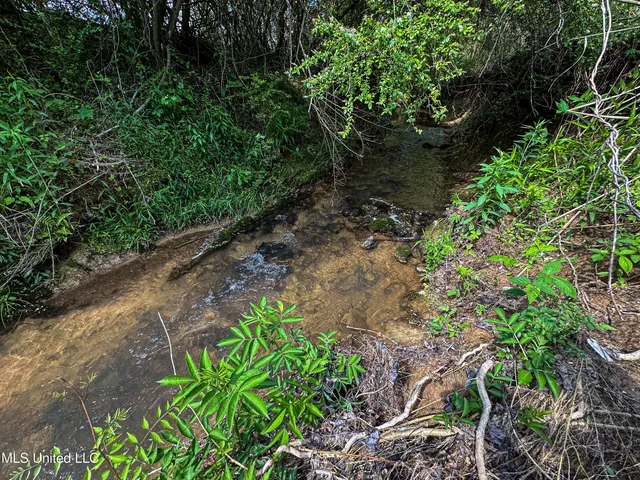 $325,000 | 2270 State Line Road, Tremont, MS 38876