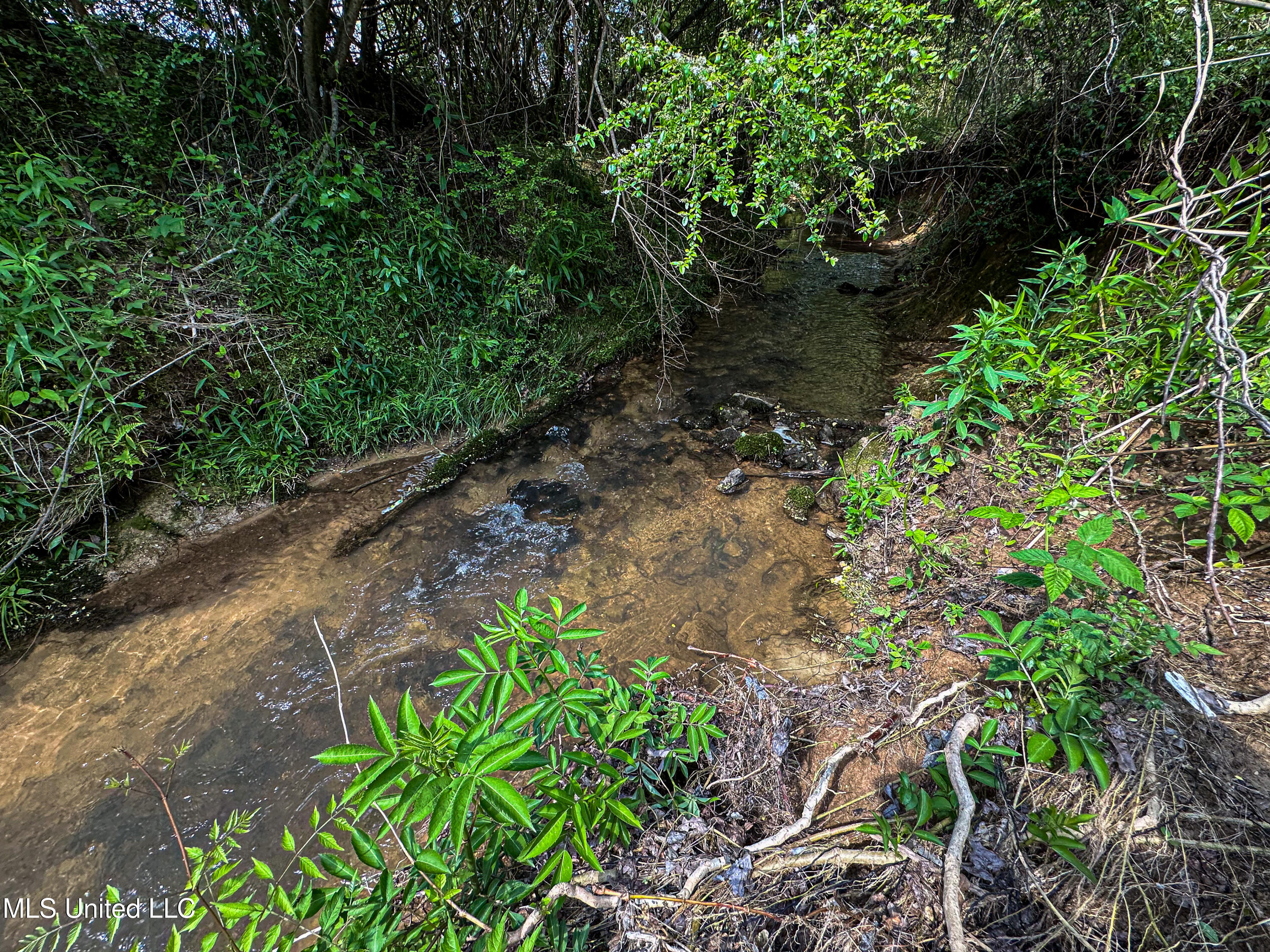 2270 State Line Road Tremont, MS 38876 - Photo 83 of 117 IMG_3812