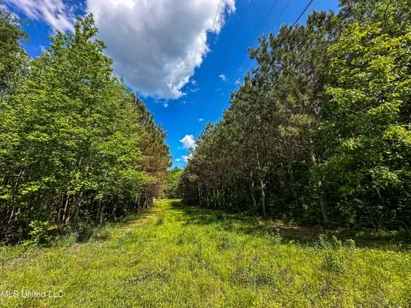 $325,000 | 2270 State Line Road, Tremont, MS 38876