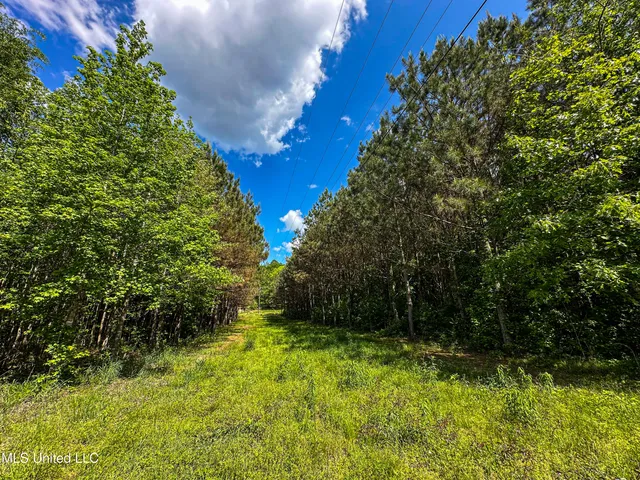 $325,000 | 2270 State Line Road, Tremont, MS 38876