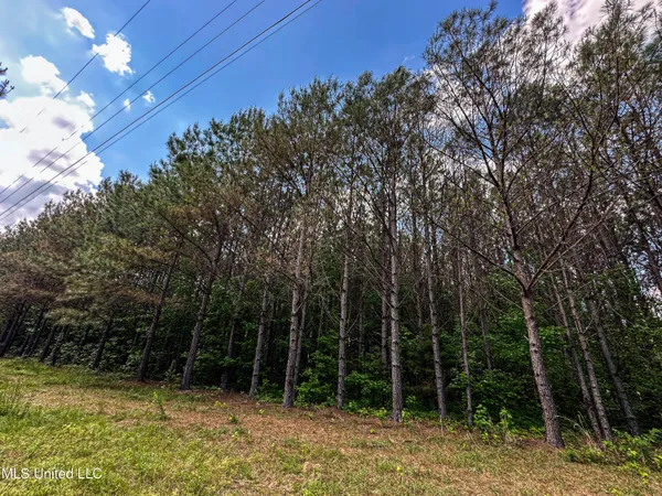 $325,000 | 2270 State Line Road, Tremont, MS 38876