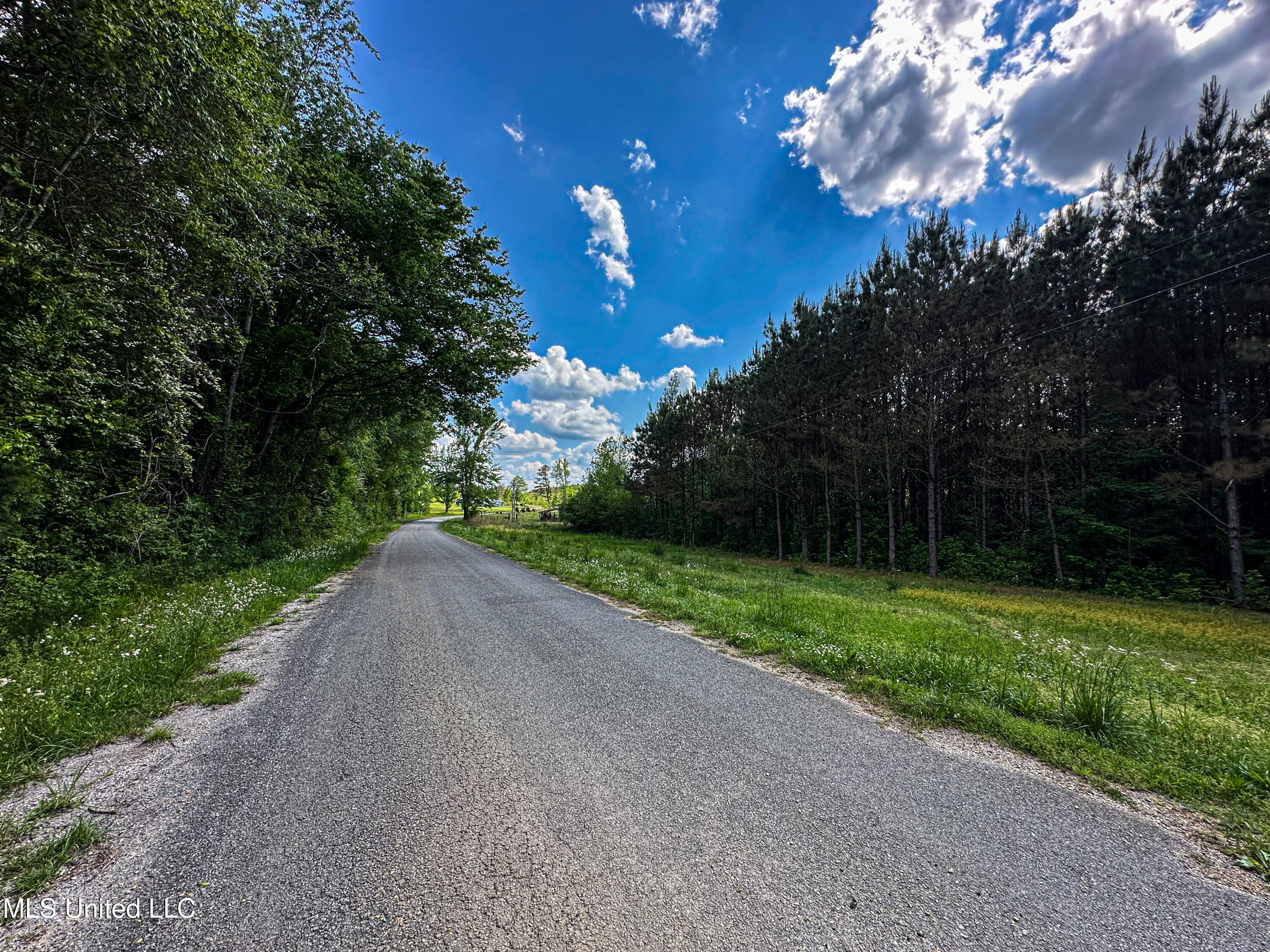 2270 State Line Road Tremont, MS 38876 - Photo 86 of 117 IMG_3821
