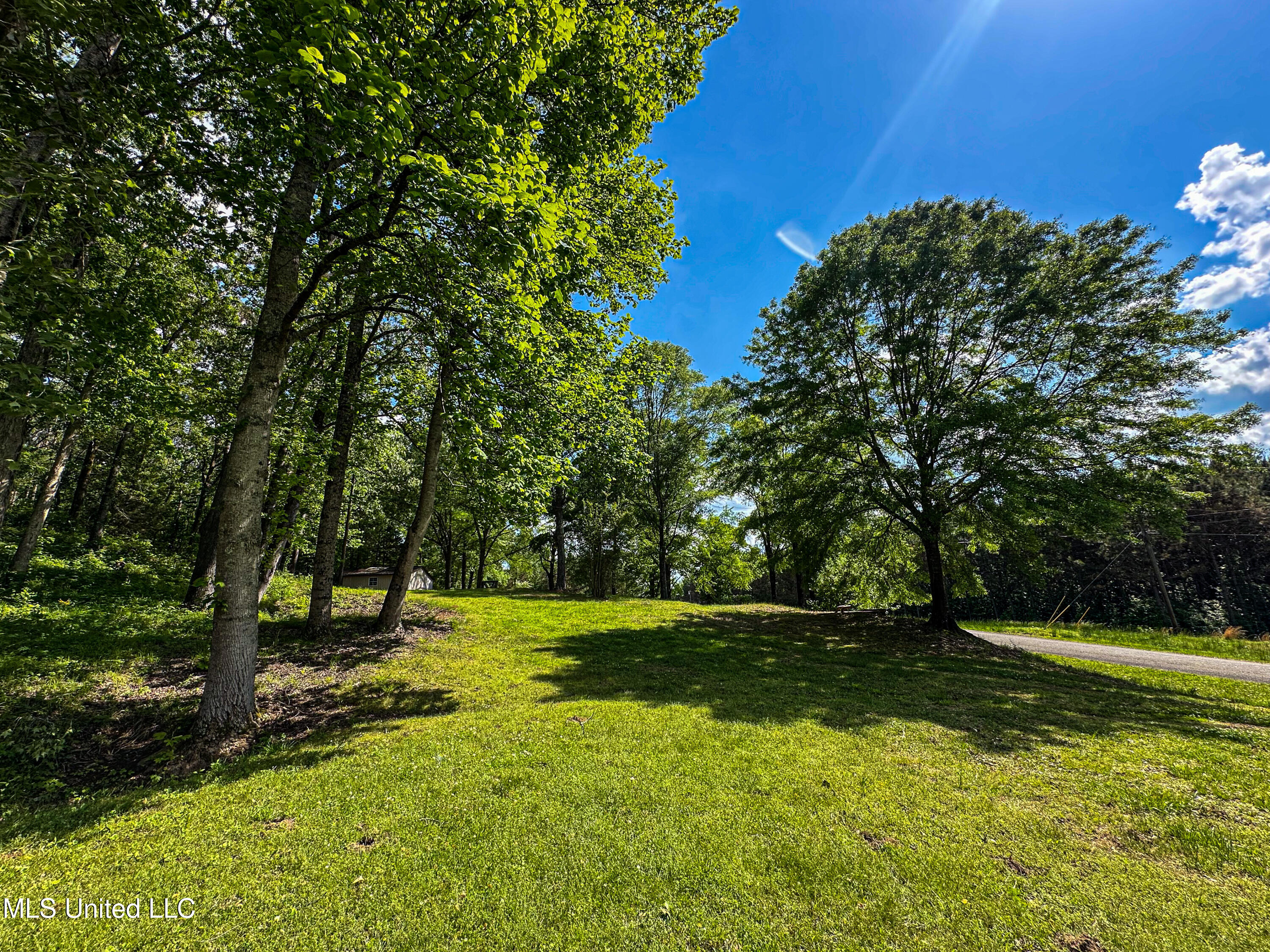 2270 State Line Road Tremont, MS 38876 - Photo 91 of 117 IMG_3828