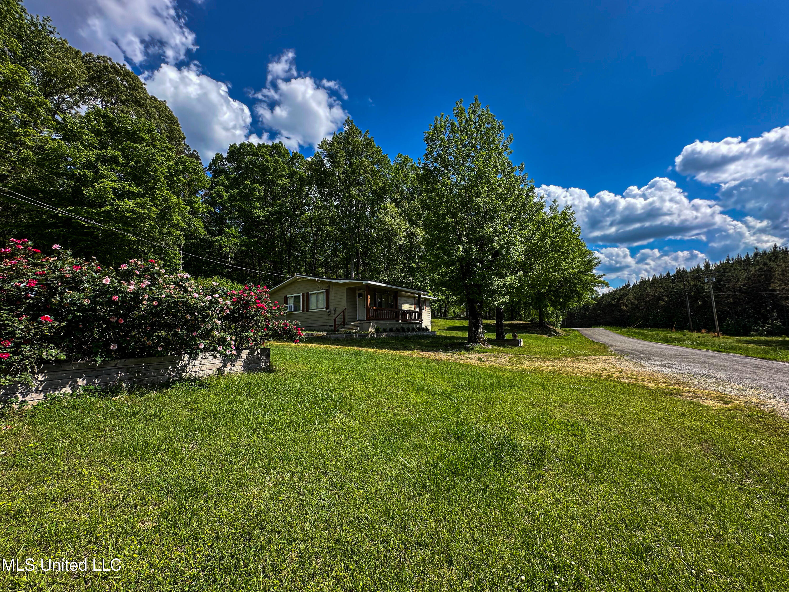 2270 State Line Road Tremont, MS 38876 - Photo 94 of 117 IMG_3831