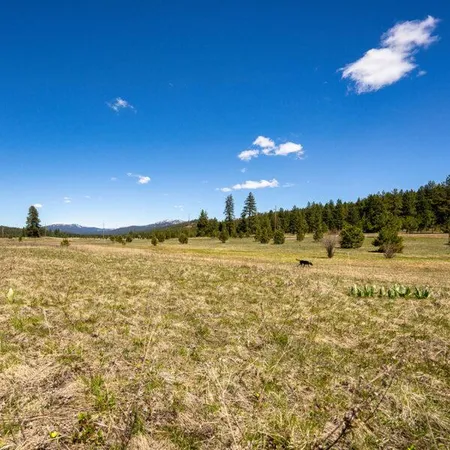 $750,000 | Lot 26 To Be Determined, Unit 26, McCall, ID 83638