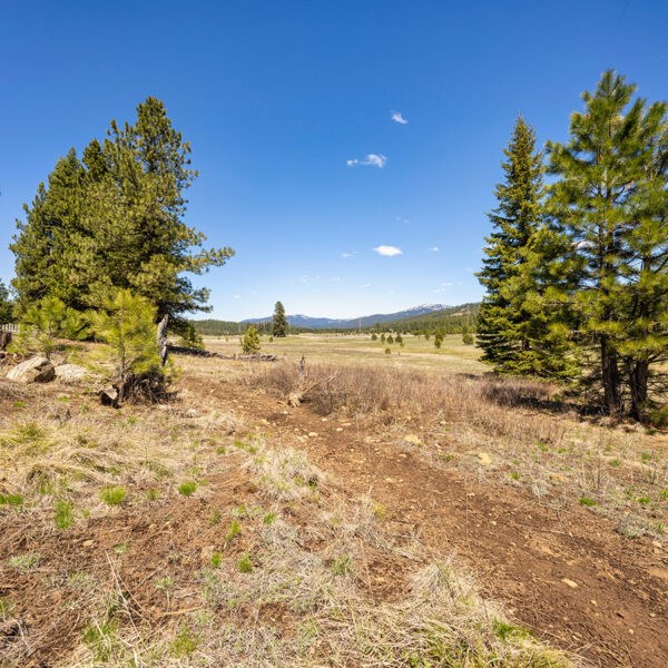 Lot 26 To Be Determined, Unit 26 McCall, ID 83638 - Photo 2 of 2