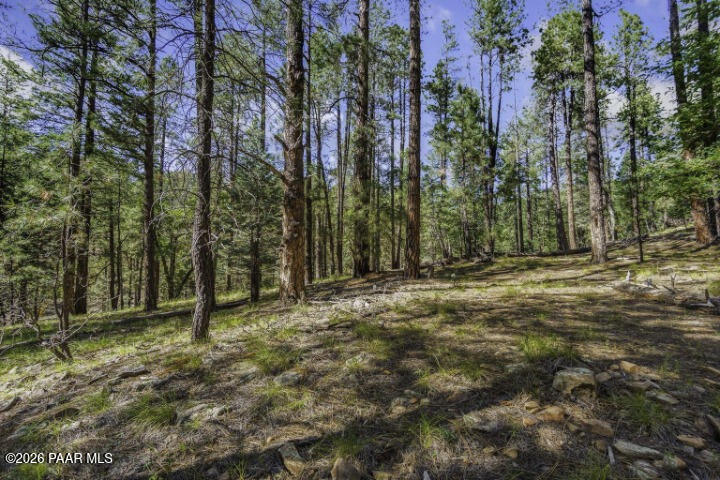 0 South Comstock Mine Road Prescott, AZ 86303 - Photo 17 of 19 a view of outdoor space with trees