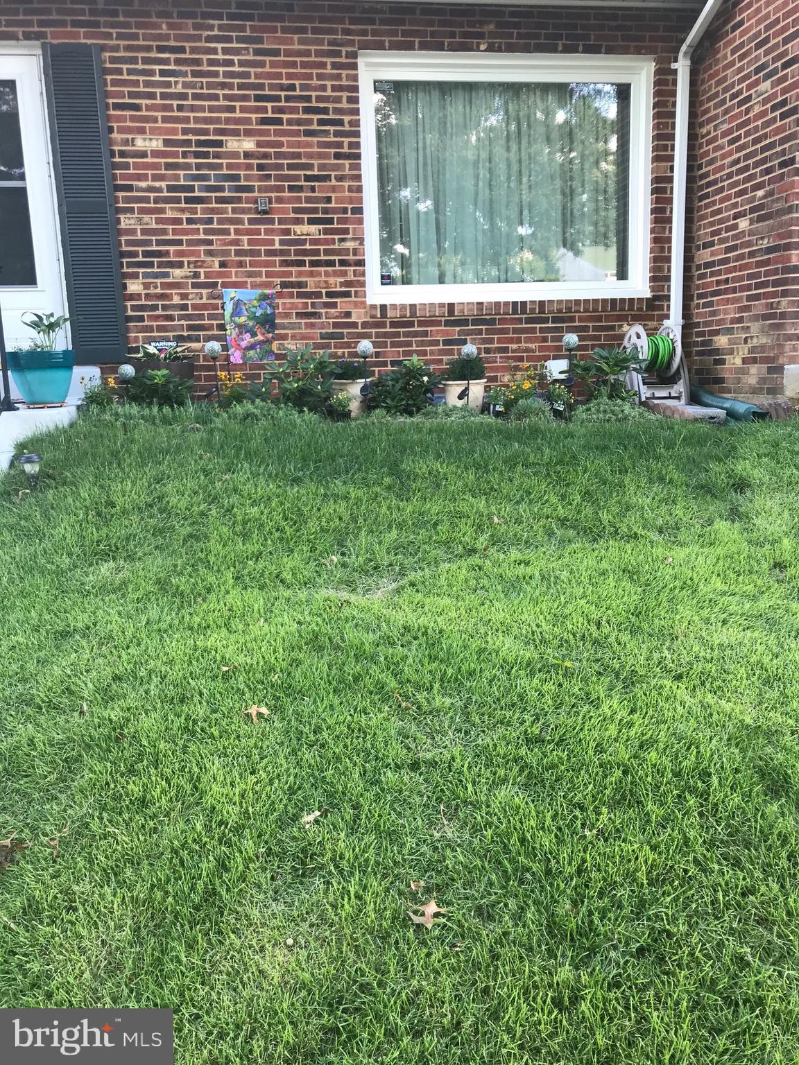 6447 Rockshire Street Alexandria, VA 22315 - Photo 42 of 42 Landscaped front yard