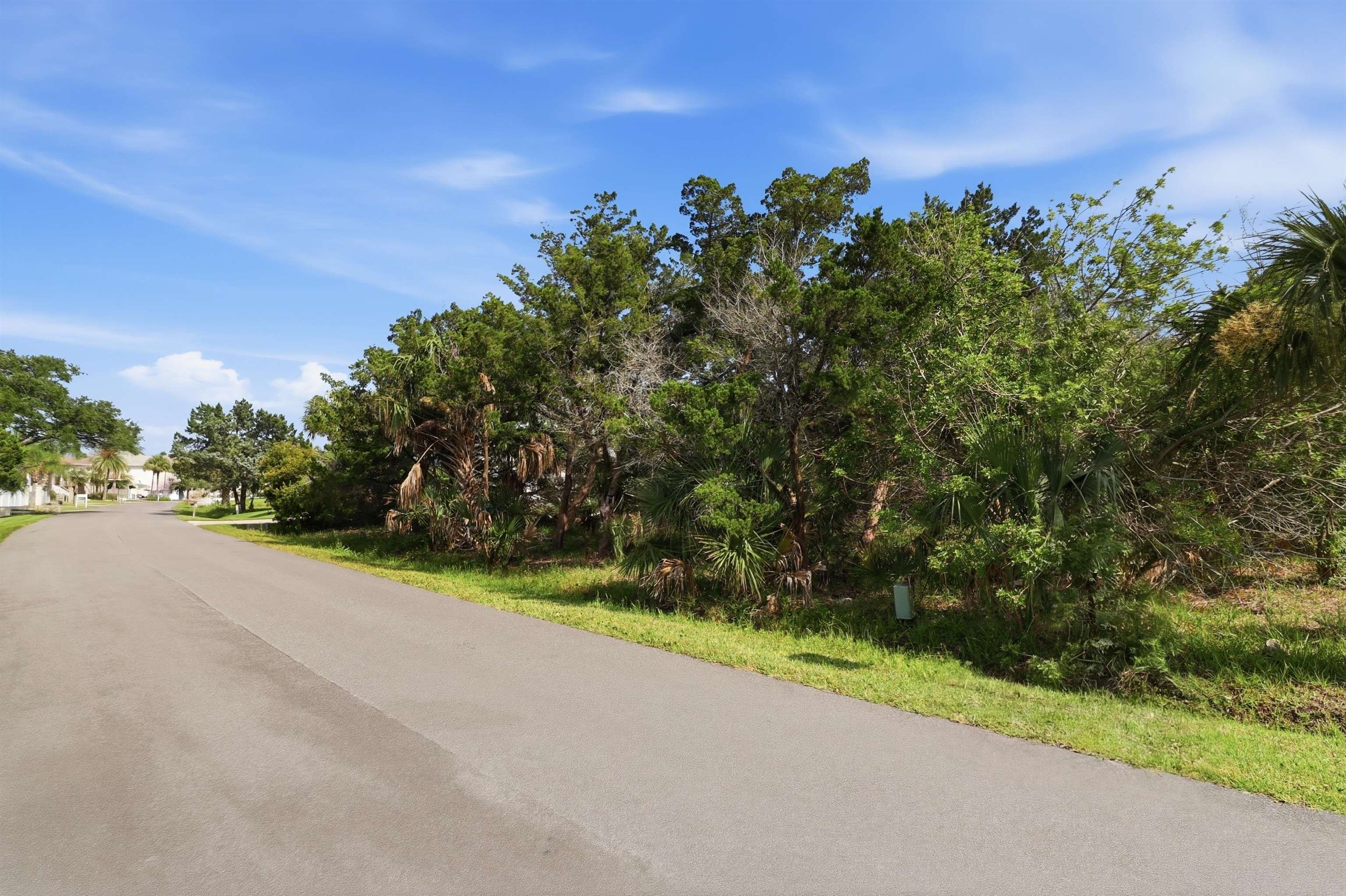 203 Sea Turtle Way St. Augustine, FL 32084 - Photo 9 of 22 a view of a road with a yard