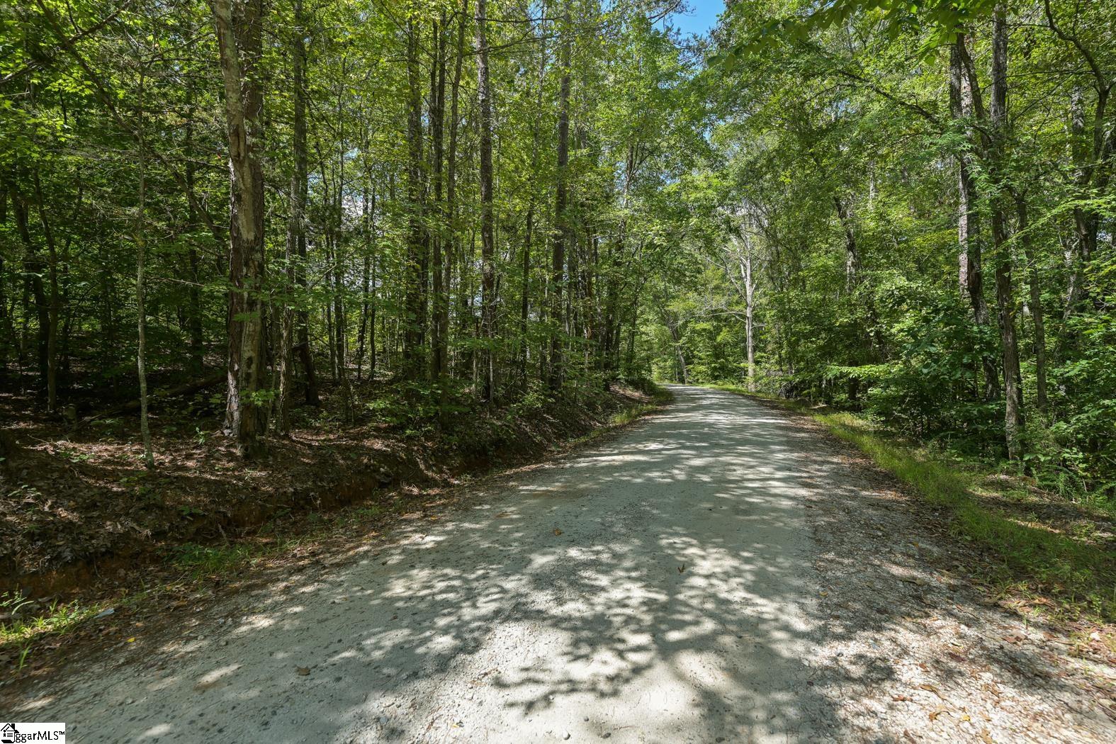 0 Putman Road Gray Court, SC 29645 - Photo 1 of 9